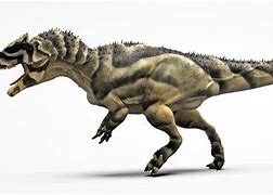 Image result for Top 5 Largest Carnivorous Dinosaurs
