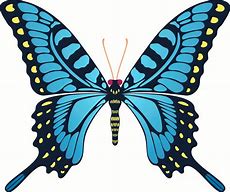Image result for Butterfly Wallpaper Clip Art