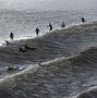 Image result for Severn Bore Surfing