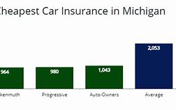 Image result for Best Auto Insurance in Michigan