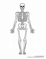 Image result for Blank Human Skeleton Printable