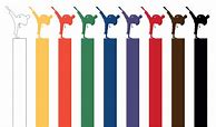 Image result for Martial Arts Belt Ranking Colors