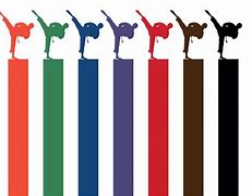 Image result for Belts for Karate