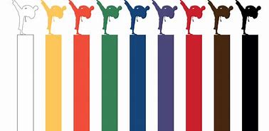 Image result for Karate Belt Colors