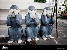 Image result for See Nothing Hear Nothing Say Nothing Monkeys
