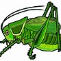 Image result for Cartoon Brown Cricket
