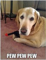 Image result for Hilarious Animal Memes