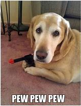 Image result for Animal Meme Pictures