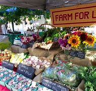 Image result for Farm Country Market
