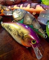 Image result for Unique Fishing Lures