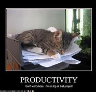 Image result for Funny Another Productive Day