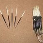 Image result for Porcupine Quills