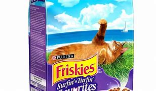 Image result for Cat Snacks Purple Orange