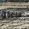 Image result for Bodies After Tsunami