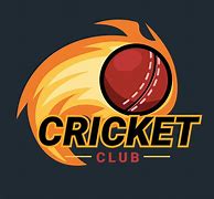 Image result for Cricket Logo Design