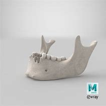 Image result for Jawbone Models