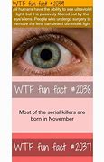 Image result for WTF Fun Facts Art