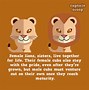 Image result for Cool Did You Know Facts
