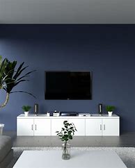 Image result for Accent Wall for TV