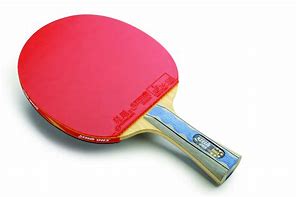 Image result for DHS Table Tennis Table