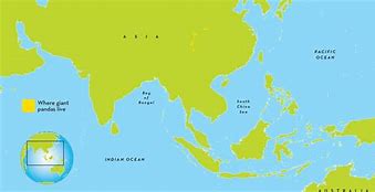 Image result for Giant Panda Map