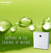 Image result for How to Switch On Sharp Air Purifier