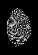 Image result for Real Fingerprint