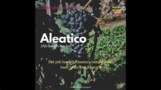 Image result for aliteraco