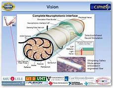 Image result for Fiber Optic Communication System