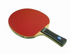Image result for Table Tennis Bats Professional
