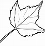 Image result for Maple Leaf Black and White