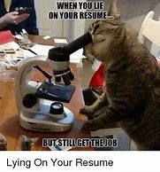 Image result for Meme When You Lie On Your Resume Sheepdog