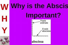 Image result for Abscissa