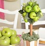 Image result for autumn apples decorations