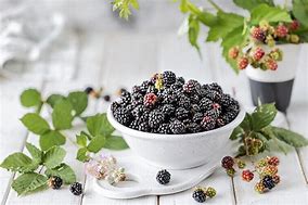 Image result for BlackBerry Food