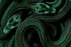 Image result for Slytherin Dark Green Aesthetic