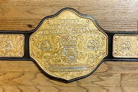 Image result for Big Gold Belt Wrestling