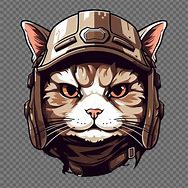Image result for Cat with War Helmet
