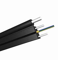 Image result for 12 Core Fiber Optic Cable