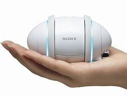 Image result for Sony Rolly