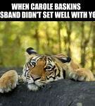 Image result for Sad Tiger Meme