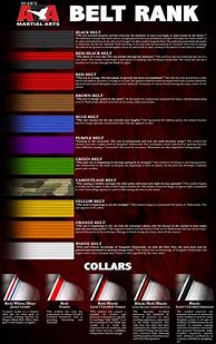 Image result for Martial Arts Belt Colors