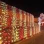 Image result for Christmas Vine Lights