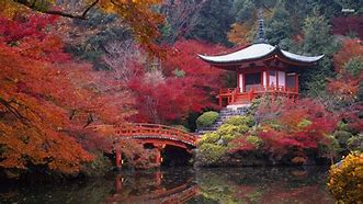 Image result for Kyoto Japan Landscape