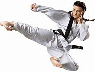 Image result for Woman Martial Arts Outfit Kick