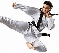 Image result for Martial Arts Woman Book