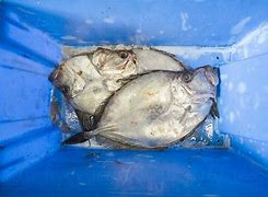 Image result for Fishmongers