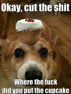Image result for Cupcake MEME Funny