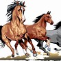 Image result for Paint Horse Clip Art