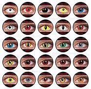 Image result for Animal Eye Contact Lenses